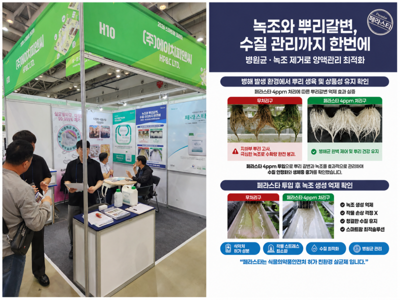 ChatGPT Image 2026년 6월 2일 오전 11_19_02.png